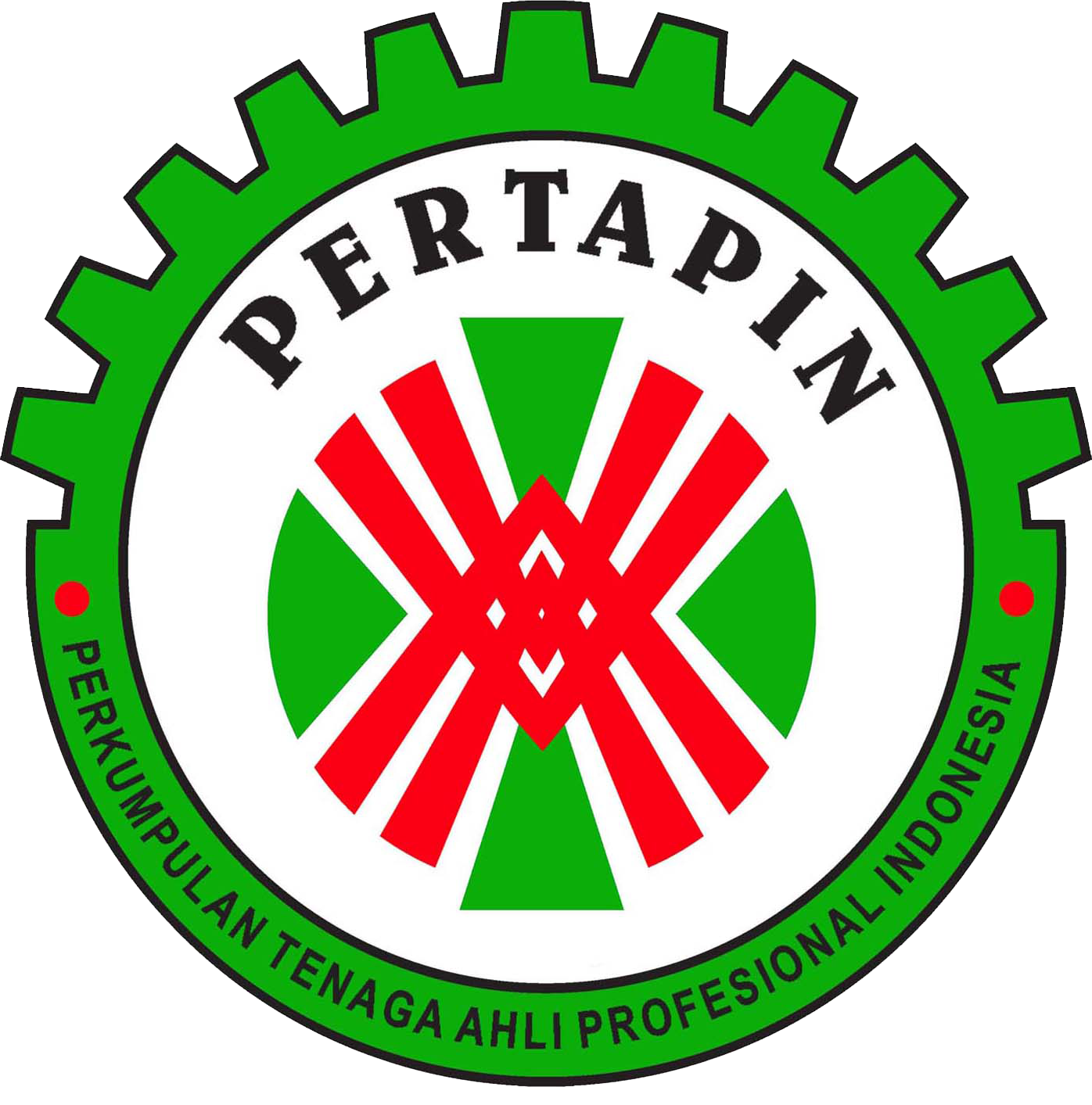 Kiwi standing on oval